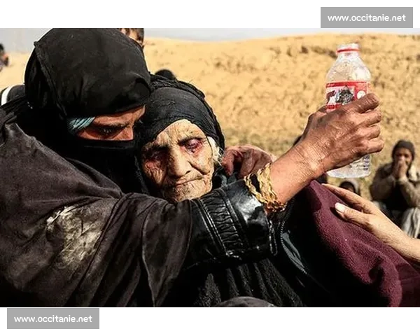 突破极限创造历史纪录终结时刻的背后故事与未来展望