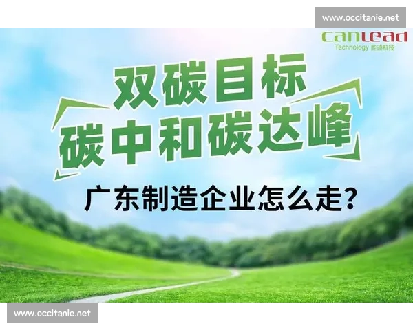 实现双碳目标推动绿色转型促进可持续发展新路径探索